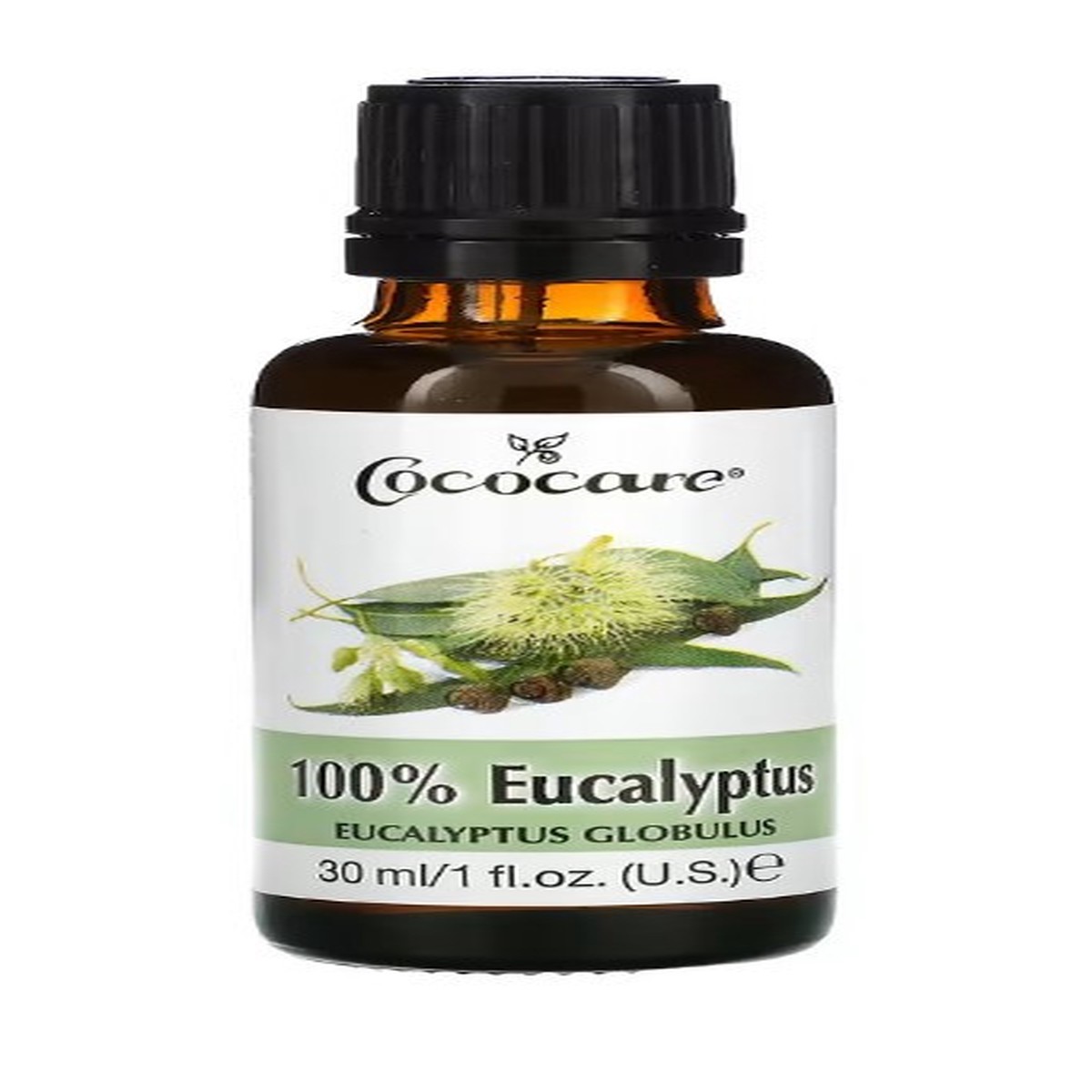 Cococare 100% Eucalyptus Oil