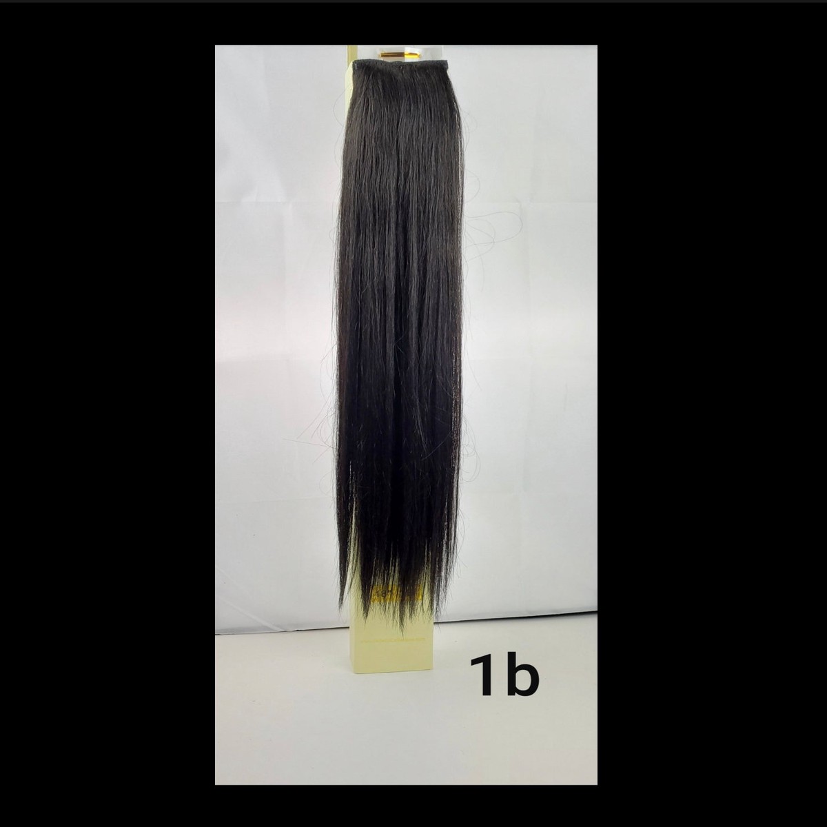18 1B Hair clip in extensions